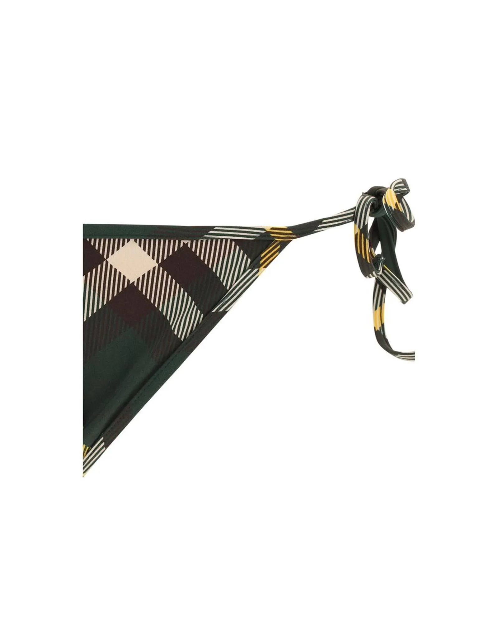Burberry Swimsuit Briefs with Classic Pattern and Check Archive Print