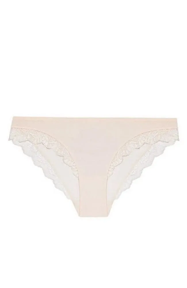 Candide Brief