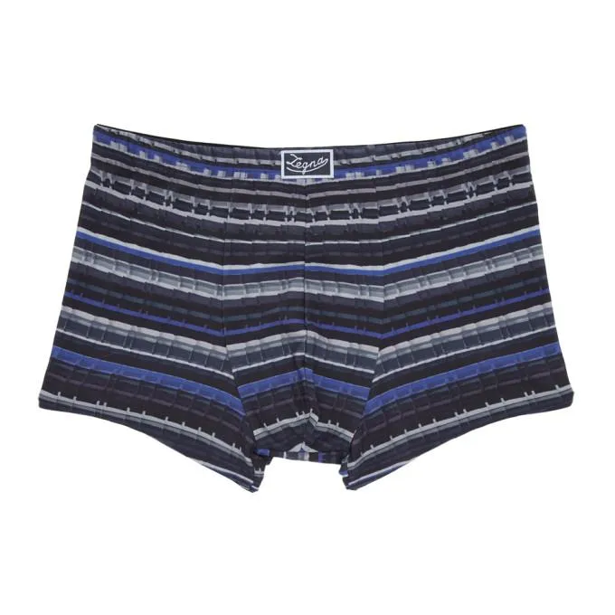 Ermenegildo Zegna Blue Striped Trunk Boxer Briefs